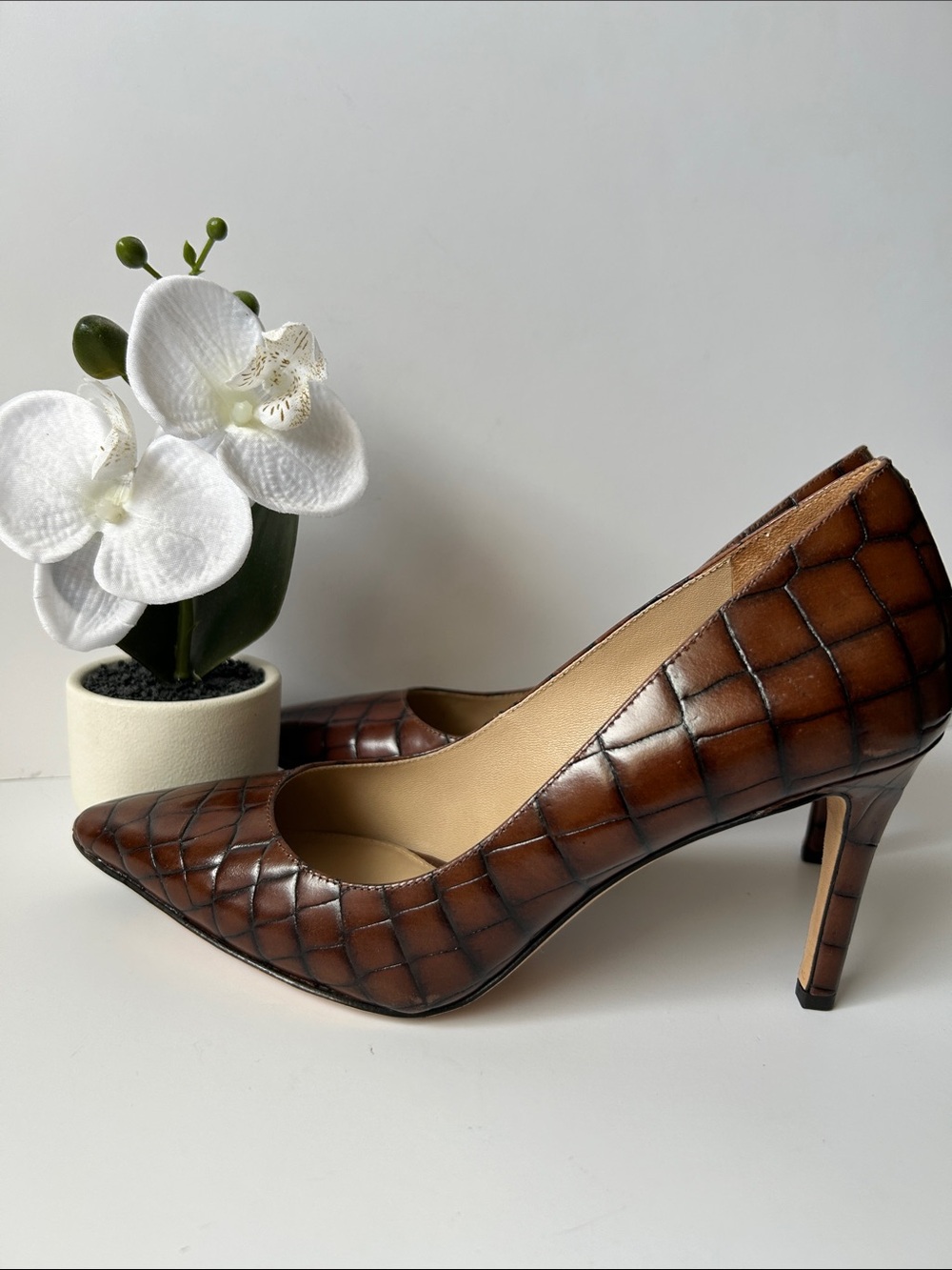 Classic Brown Croc-Embossed Pointed-Toe Pump